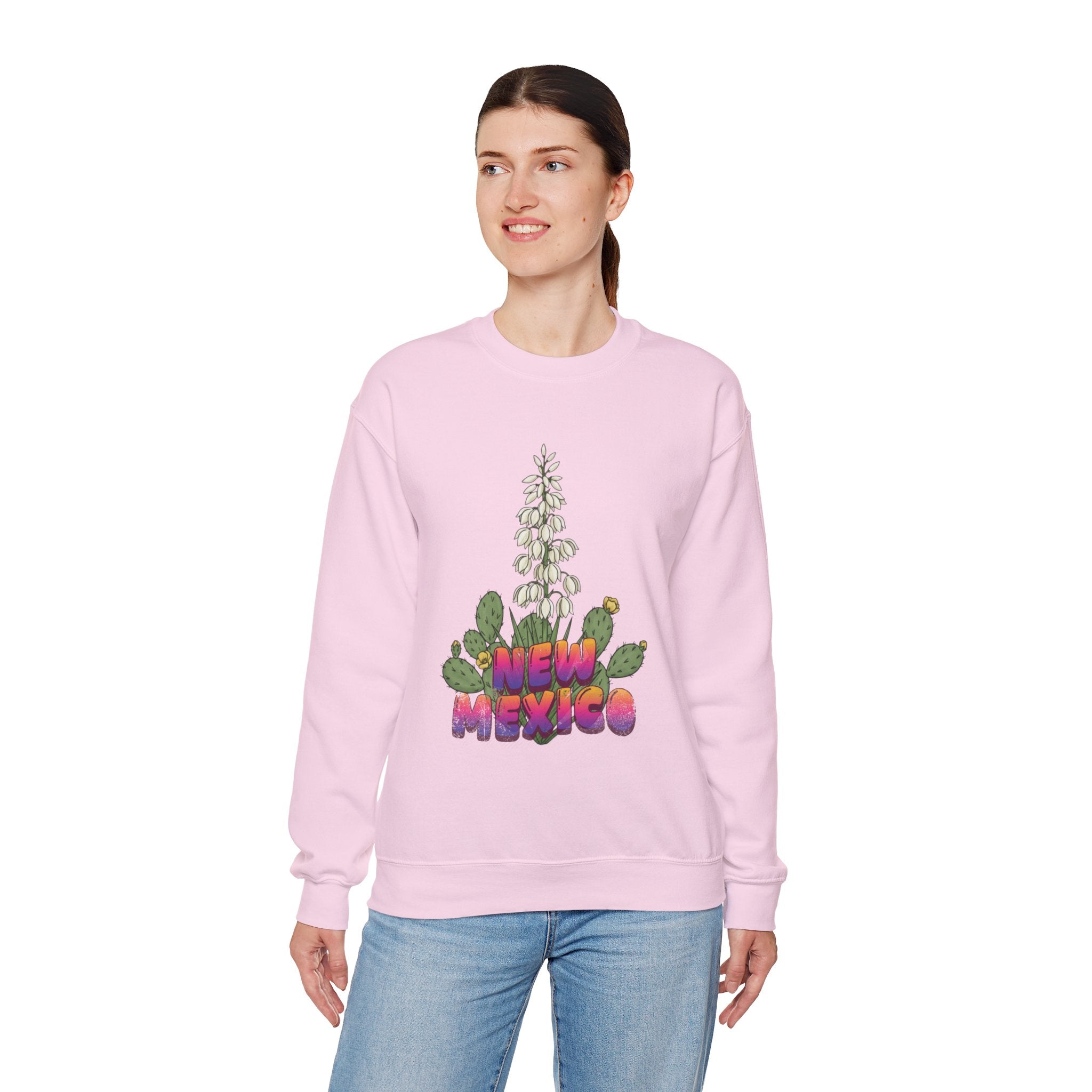 New Mexico Sweatshirt